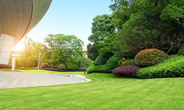 Commercial Shrub Trimming in Rogers