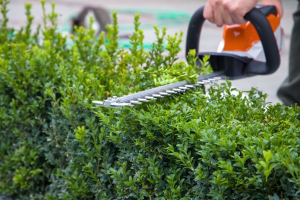 Hedge Shearing in Rogers
