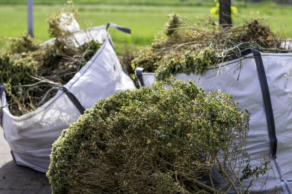 Shrubs Removal in Rogers