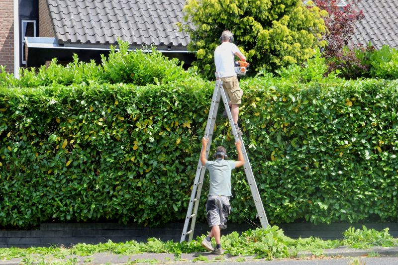 Hedge Trimming