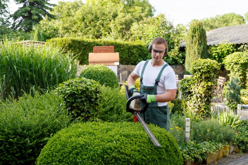 Professional Shrub Trimming Equipment